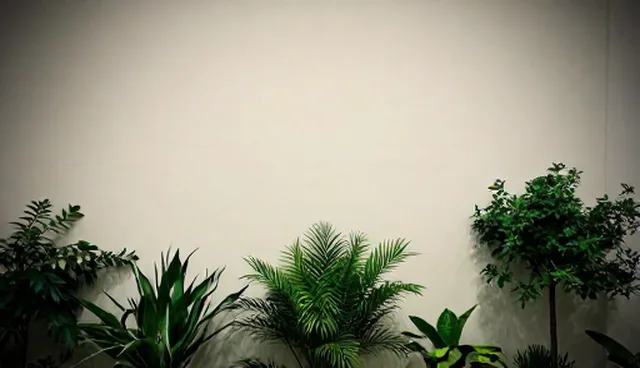 短视频运维效率提升：高并发与稳定性的取舍